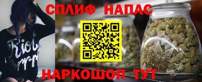 гидра Гусев