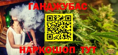 шишки Гусиноозёрск