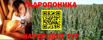 гидра Гусев