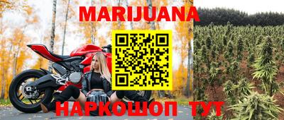 шишки Гусиноозёрск