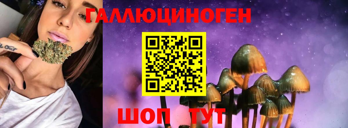 Нижнекамск  Псилоцибиновые грибы GOLDEN TEACHER  Вход с VPN 